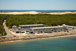 pet friendly hotel in cape cod