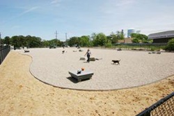 dog park in provincetown, cape cod