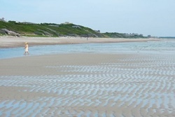 dog beach in East Sandwich near Cape Cod