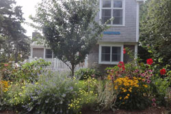 pet friendly by owner vacation rental in cape cod