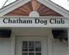 chatham dog club cape cod